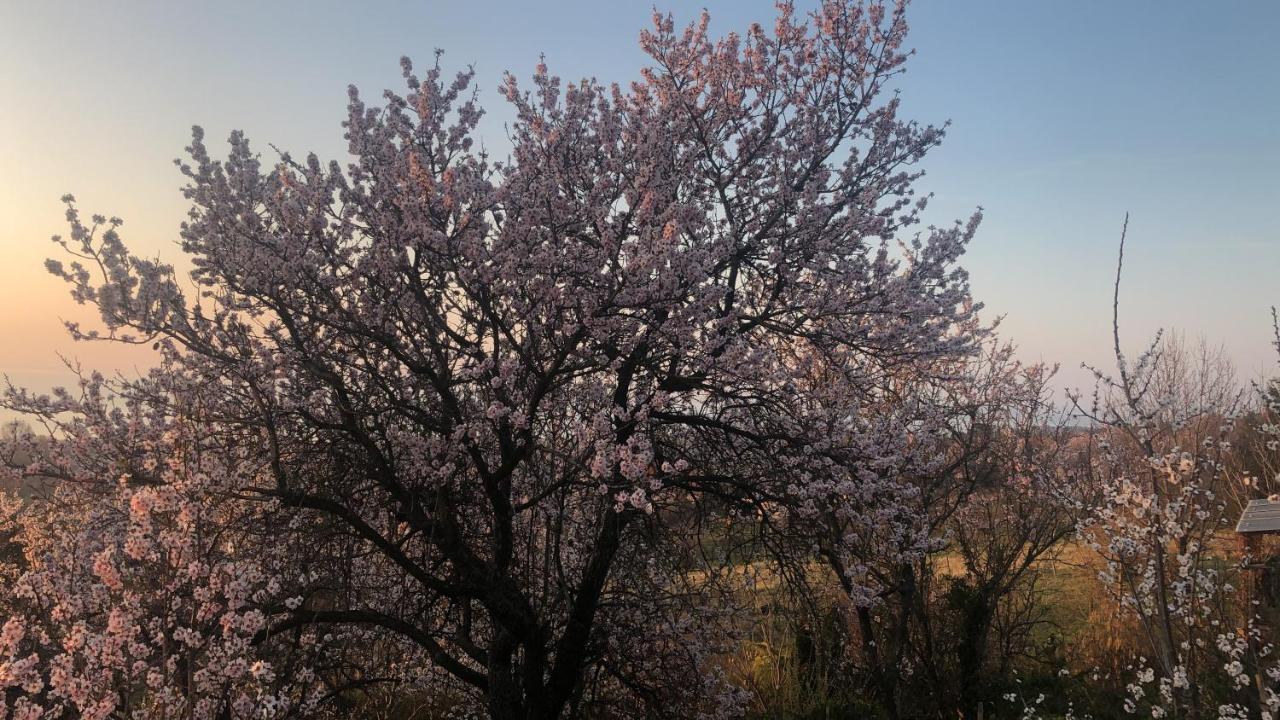 Panorama Balaton Villa Balatongyörök Eksteriør billede